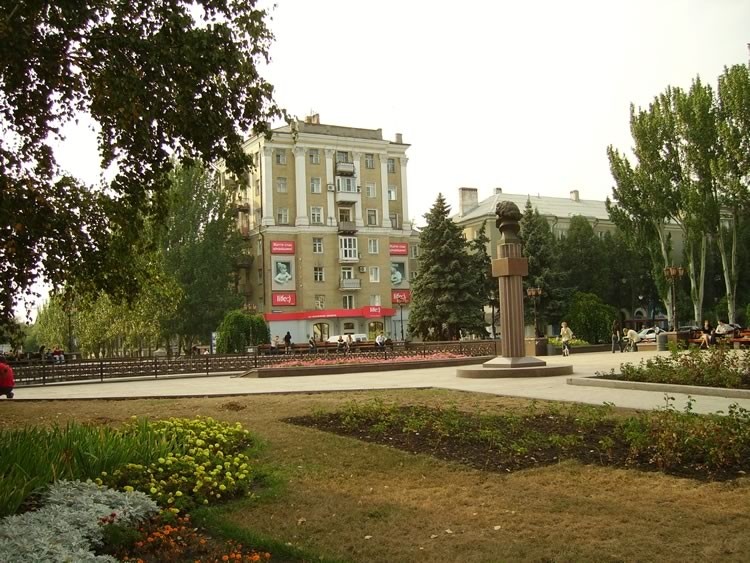 256_maxi